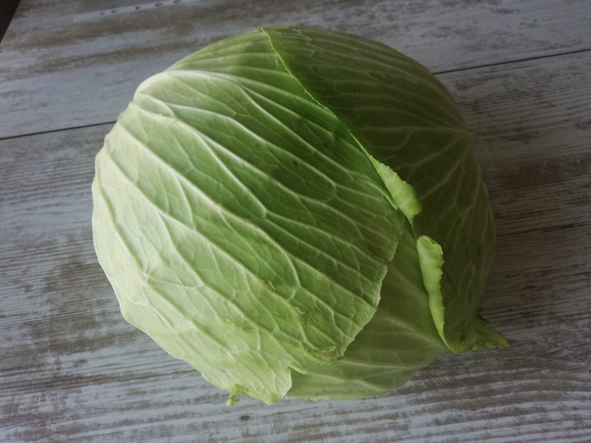 Kimchi Recipe Using Regular Green Cabbage